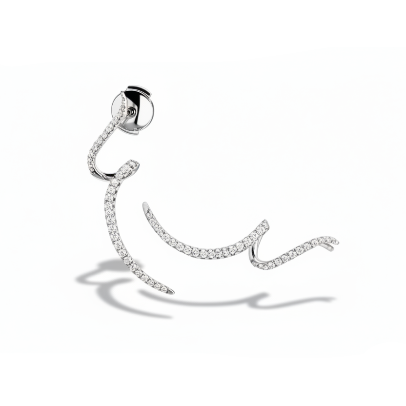 Pigtail earrings