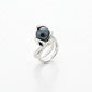 Whirlpool LD ring
